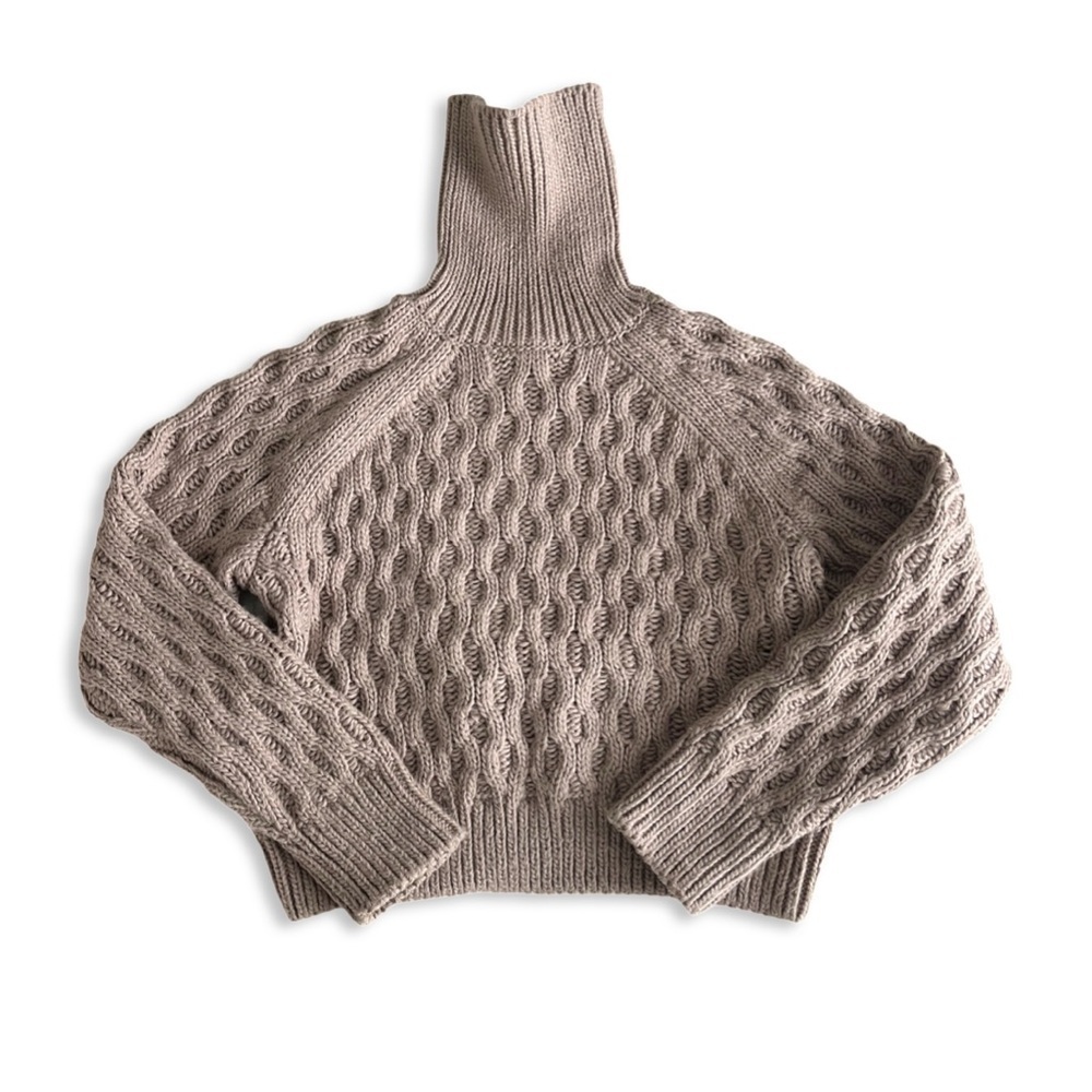 H&M Cable Knit Turtle Neck